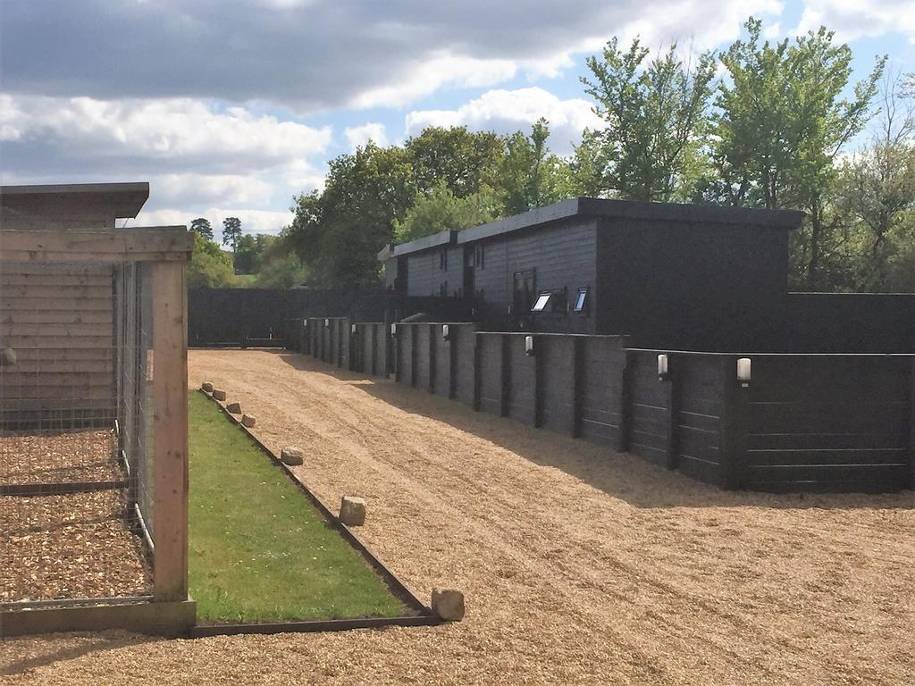 Willow Court Farm Studio South & Petting Farm, 8 Mins From Legoland & Windsor, 15 Mins From Lapland Uk Eksteriør bilde