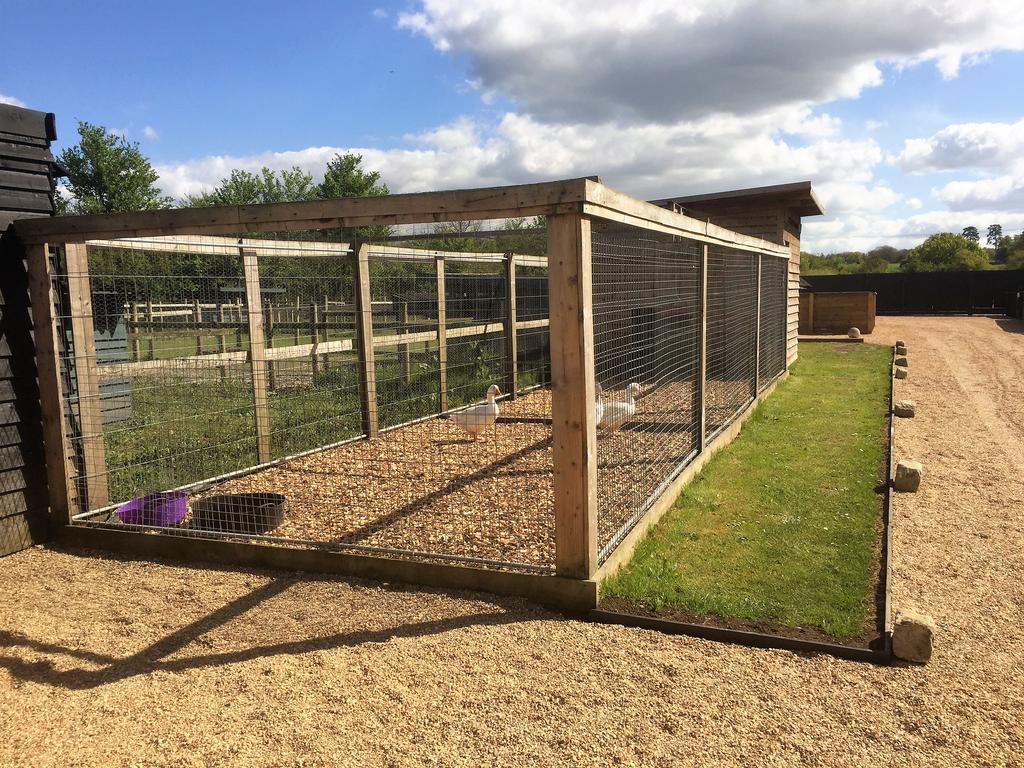 Willow Court Farm Studio South & Petting Farm, 8 Mins From Legoland & Windsor, 15 Mins From Lapland Uk Eksteriør bilde