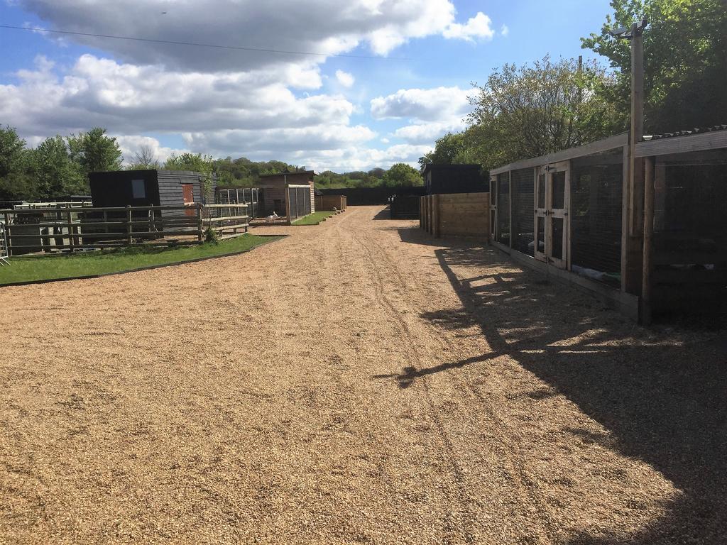 Willow Court Farm Studio South & Petting Farm, 8 Mins From Legoland & Windsor, 15 Mins From Lapland Uk Eksteriør bilde