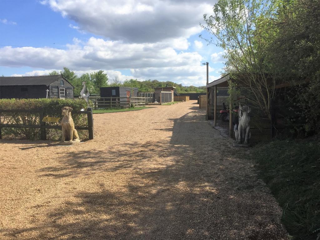 Willow Court Farm Studio South & Petting Farm, 8 Mins From Legoland & Windsor, 15 Mins From Lapland Uk Eksteriør bilde