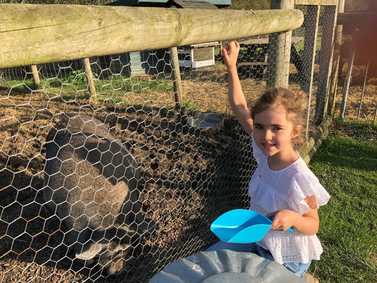 Willow Court Farm Studio South & Petting Farm, 8 Mins From Legoland & Windsor, 15 Mins From Lapland Uk Eksteriør bilde
