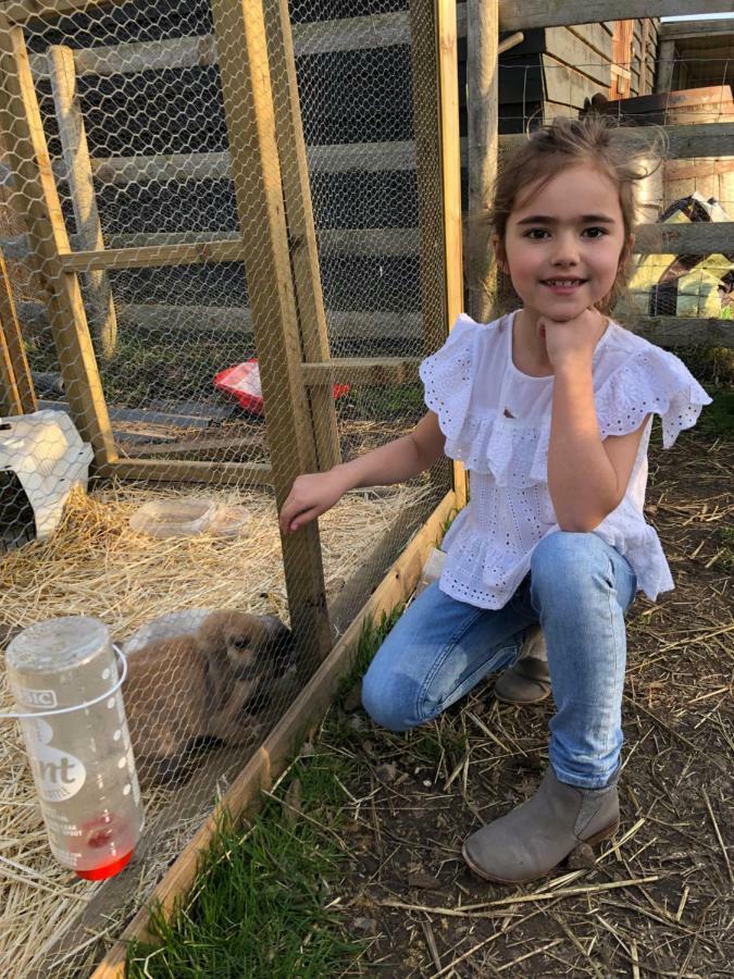 Willow Court Farm Studio South & Petting Farm, 8 Mins From Legoland & Windsor, 15 Mins From Lapland Uk Eksteriør bilde