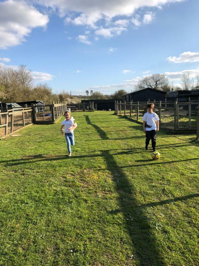 Willow Court Farm Studio South & Petting Farm, 8 Mins From Legoland & Windsor, 15 Mins From Lapland Uk Eksteriør bilde